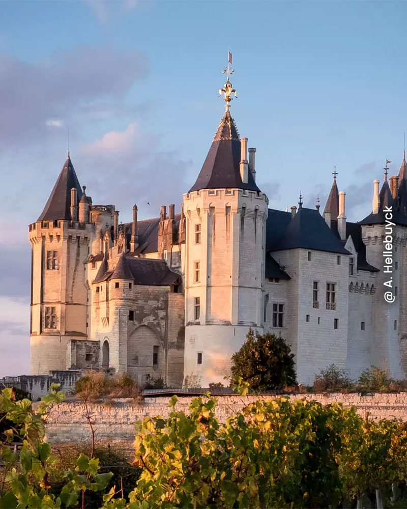 Château de Saumur - @ A. Hellebuyck